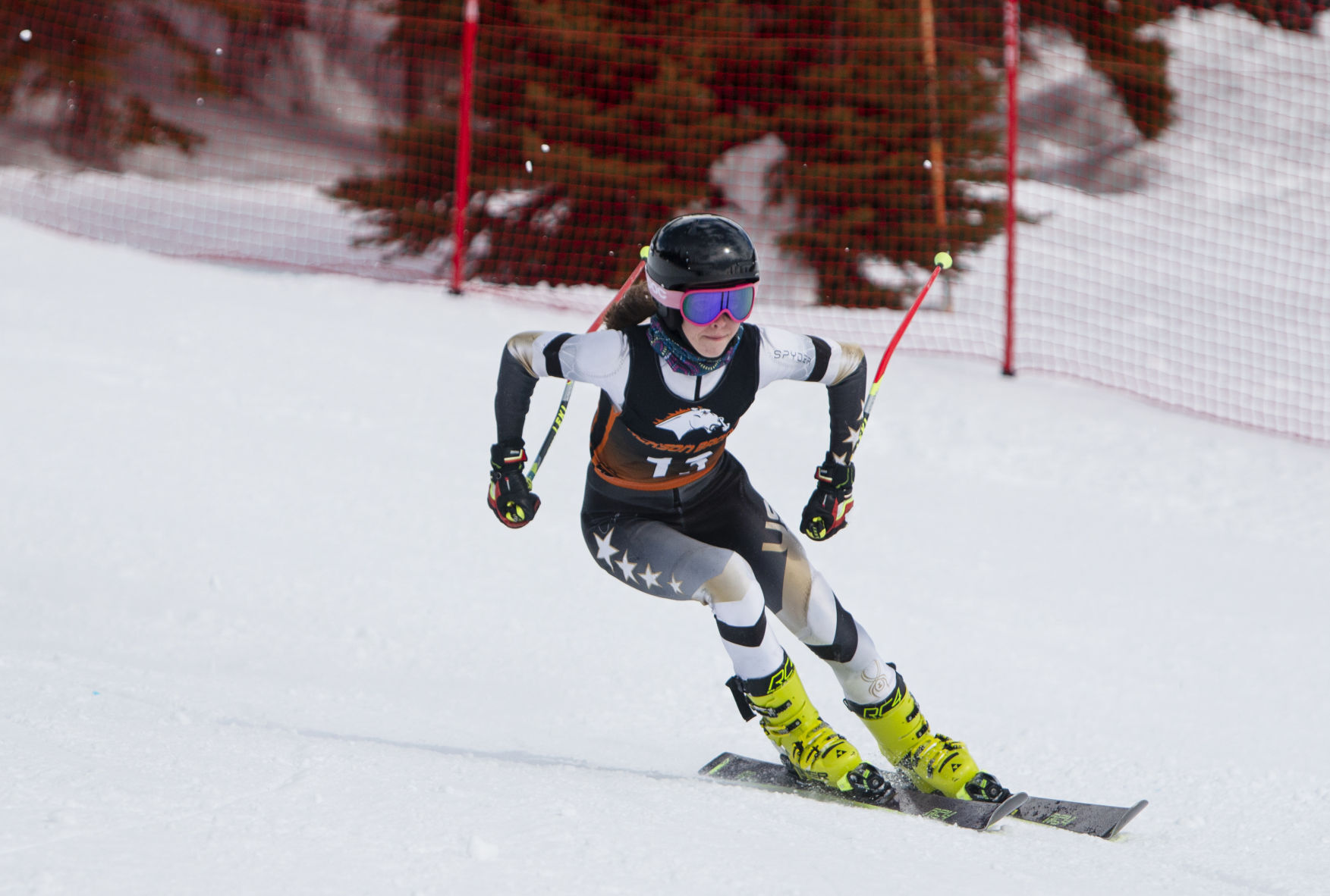 State Alpine Ski Meet